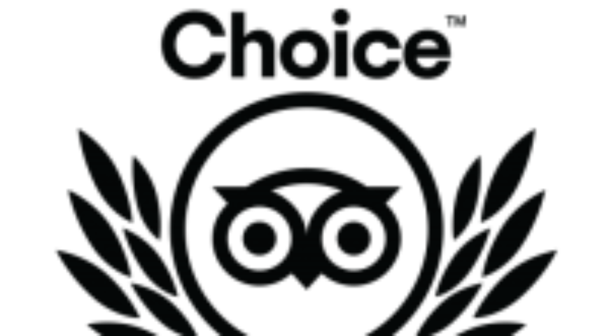15 2020-Travellers-Choice-logo_510_600