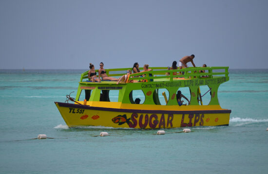 catamaran tour tobago